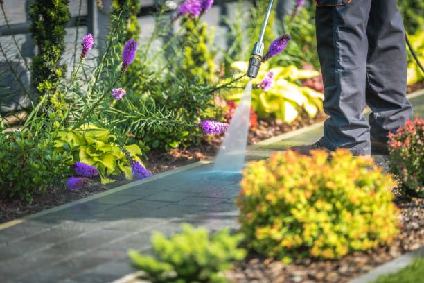 Trusted Kirkwood, MO Pressure Washing Services Experts